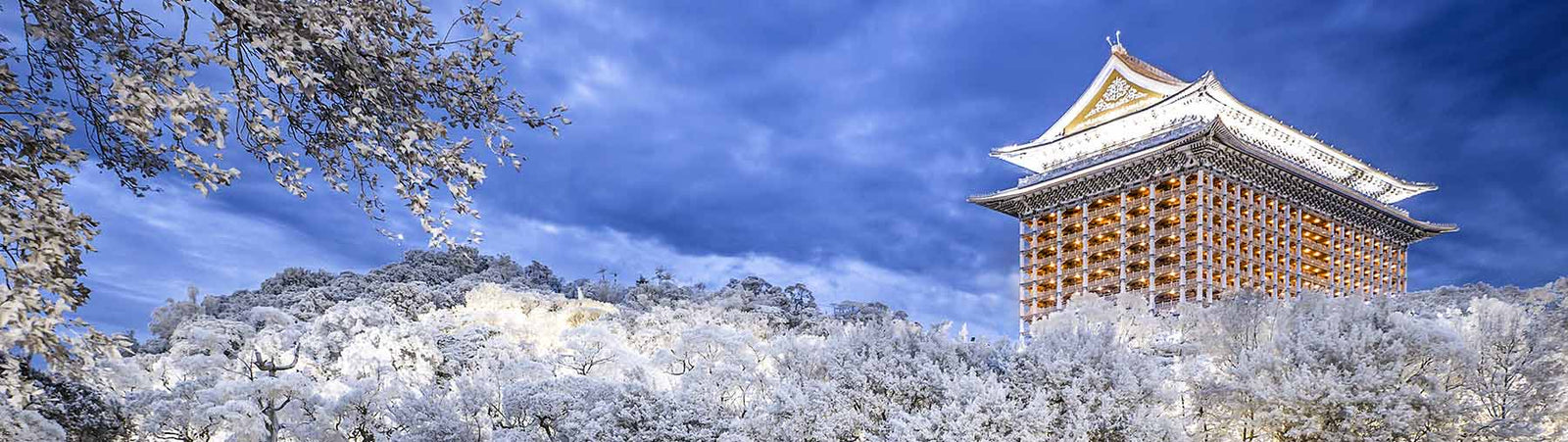 Infrared Filters 紅外線濾鏡(需改機)