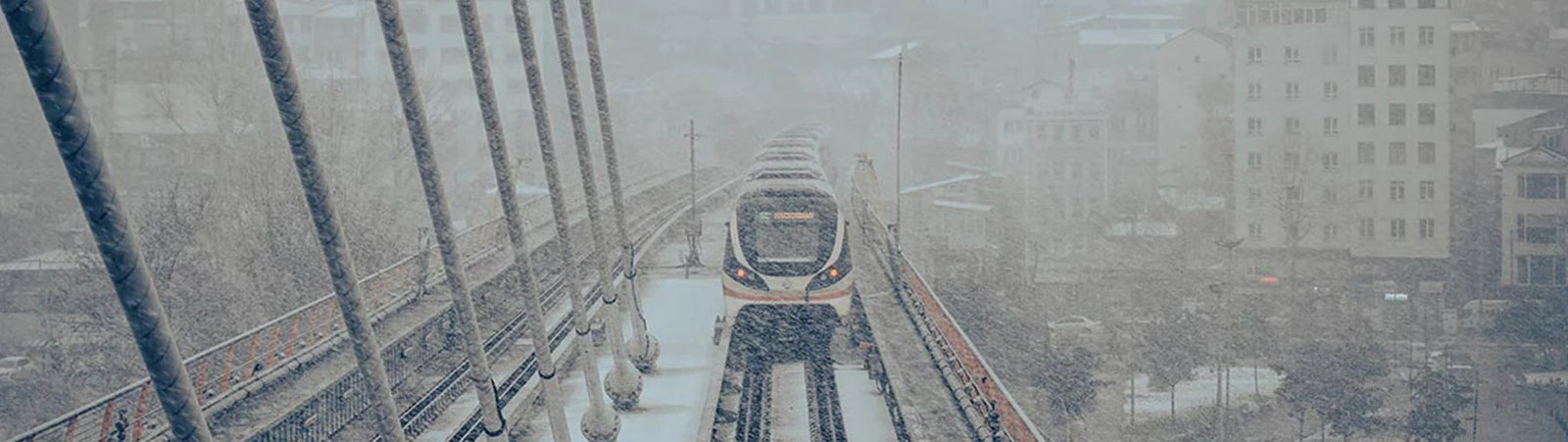 Lens & CMOS Protectors 鏡頭與感光元件保護鏡