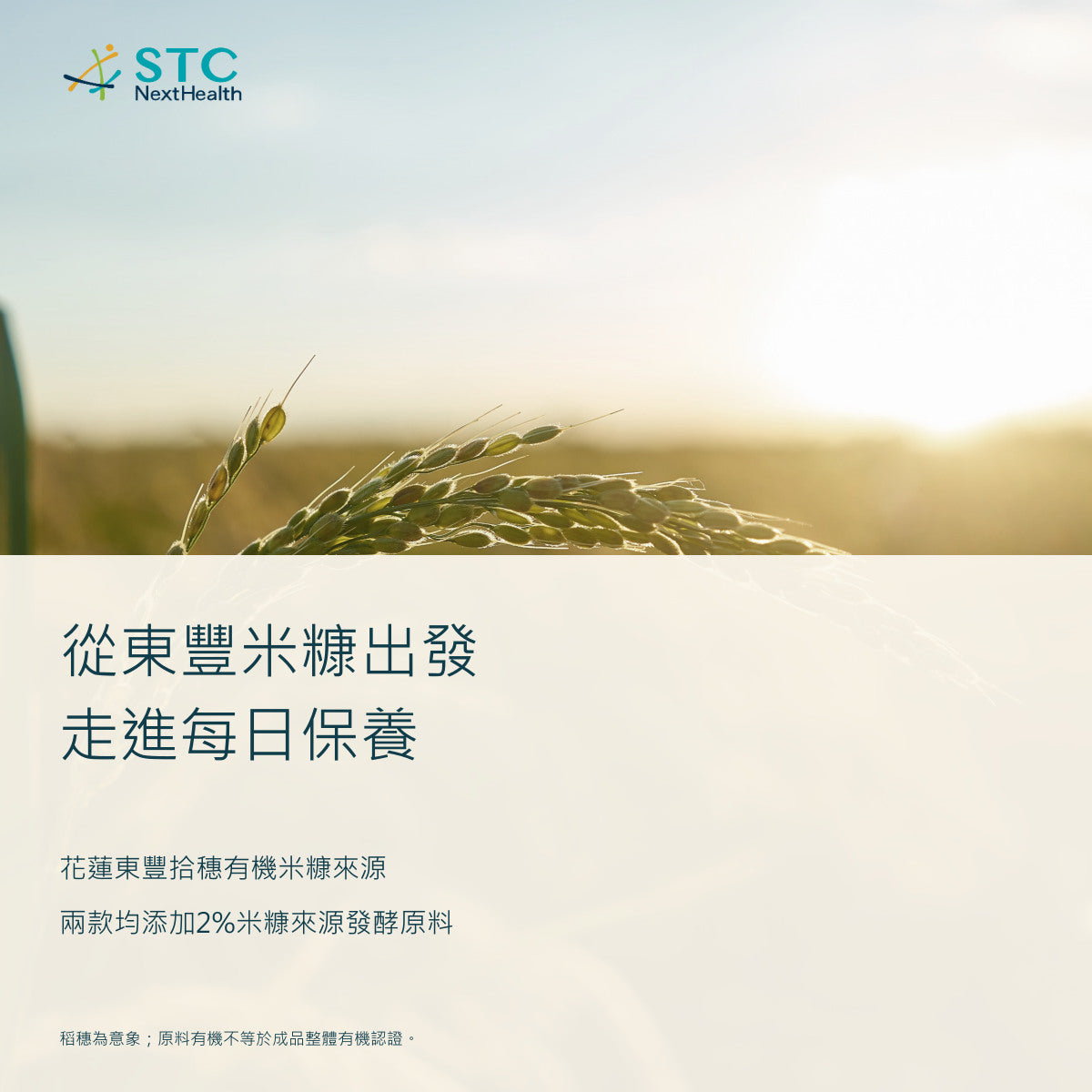 STC NextHealth 亮顏修復精華乳 50mL